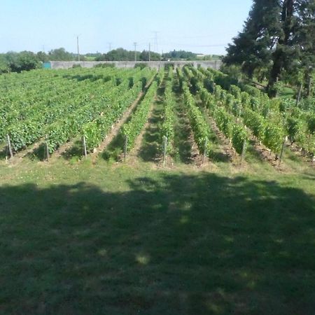 Au Clos De L'Epinay Vouvray Exterior foto