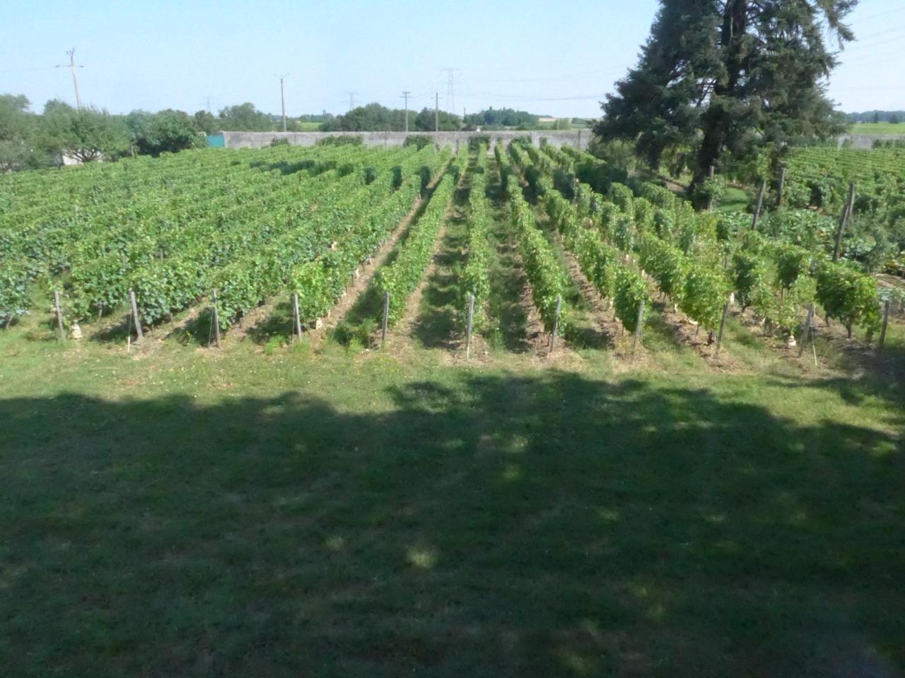 Au Clos De L'Epinay Vouvray Exterior foto